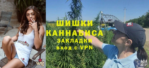дживик Вязники