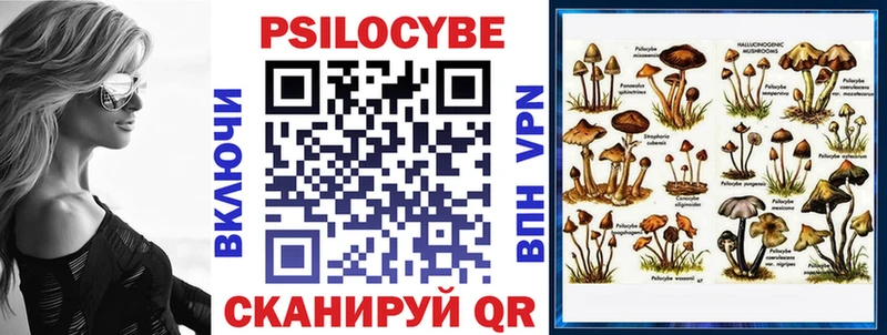 Купить закладки  Избербаш  Псилоцибиновые грибы мицелий 